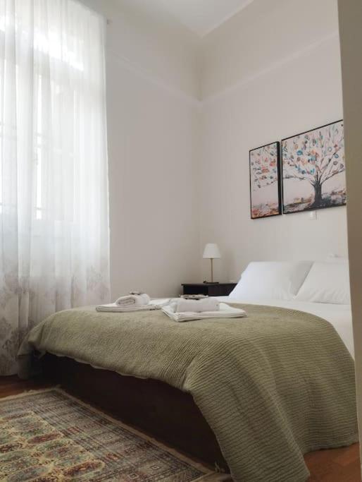 Apartment Calliope's Neoclassical In The Heart Of Plaka *