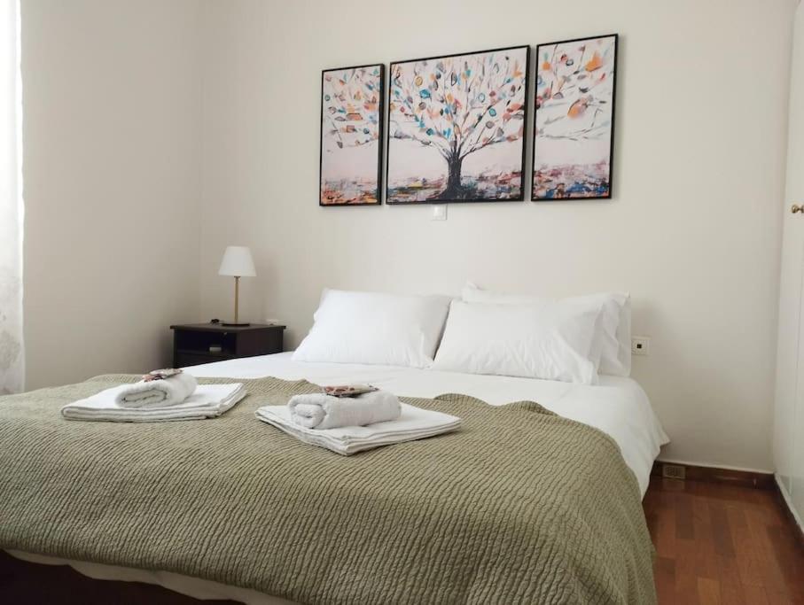 Calliope's Neoclassical In The Heart Of Plaka Athens
